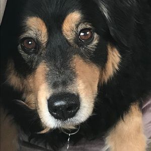 Meet your Posher, Pamela